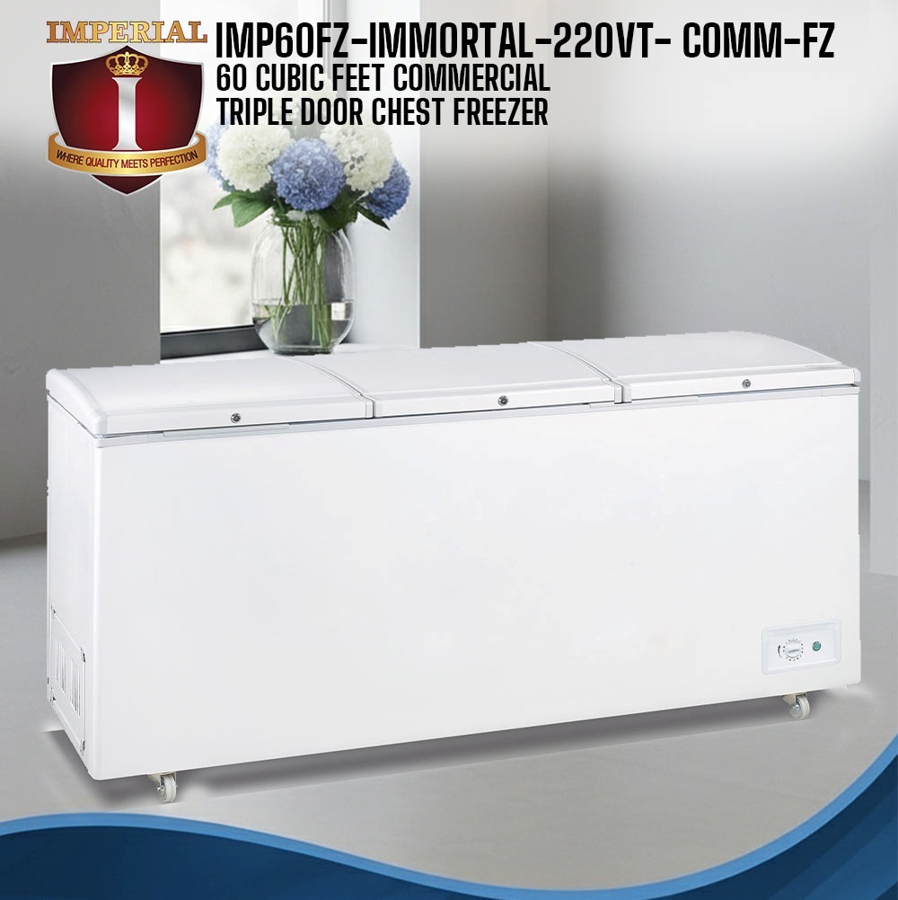 IMPERIAL SUPER GIGANTIC FREEZER-- IMMORTAL 220VT -- 2 TWO ?? ?? COMPRESSORS -- COMMERCIAL